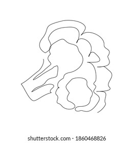 Continuous line drawing of whole healthy organic cauliflower broccoli for farm logo identity. One line art concept for fresh vegetable icon. Vector illustration