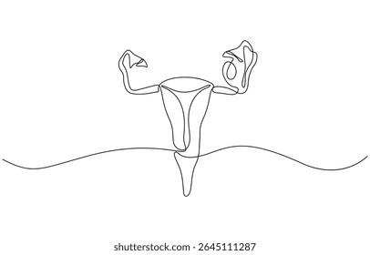 Desenho de linha contínua do útero e do ovário das mulheres. Uma linha Sistema reprodutivo feminino, Sistema reprodutivo feminino, uma linha contínua. Ilustração de vetor de contorno de arte de linha de órgãos.