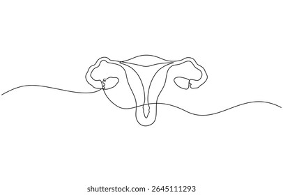 Desenho de linha contínua do útero e do ovário das mulheres. Uma linha Sistema reprodutivo feminino, Sistema reprodutivo feminino, uma linha contínua. Ilustração de vetor de contorno de arte de linha de órgãos.