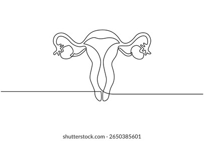 Desenho de linha contínua do útero e do ovário das mulheres. Uma linha Sistema reprodutivo feminino, Ilustração linear minimalista do vetor, Mão de ilustração plana isolada desenhando contorno.