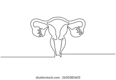 Desenho de linha contínua do útero e do ovário das mulheres. Uma linha Sistema reprodutivo feminino, Ilustração linear minimalista do vetor, Mão de ilustração plana isolada desenhando contorno.