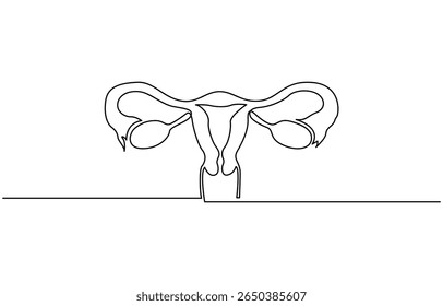 Desenho de linha contínua do útero e do ovário das mulheres. Uma linha Sistema reprodutivo feminino, Ilustração linear minimalista do vetor, Mão de ilustração plana isolada desenhando contorno.