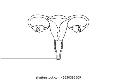 Desenho de linha contínua do útero e do ovário das mulheres. Uma linha Sistema reprodutivo feminino, Ilustração linear minimalista do vetor, Mão de ilustração plana isolada desenhando contorno.