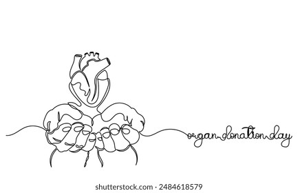 Continuous line drawing of World Organ Donation Day with heart for Transplantation, Hand holding human realistic, heart, kidneys, lungs. World Organ Donation Day is on the 13th of August.
