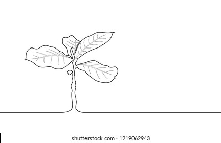 The continuous line drawing of the young tree. Concept of support growth of business in the future or business development symbolic or  Support growth of new life or eco symbolic.