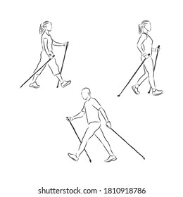 Continuous line drawing. A young woman walks on foot with walking sticks. Nordic walking, vector sketch illustration