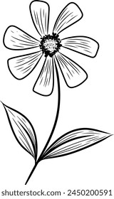Continuous line drawing of Zinnia flower with leaves. Vector illustration