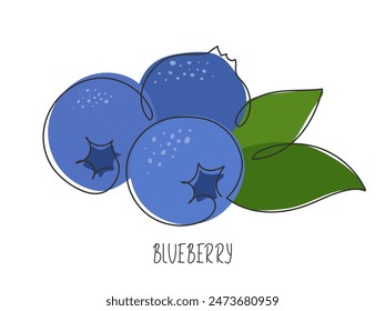 Continuous line drawn blueberry with leaves. Branch of fresh ripe sweet berry. Abstract textured natural fruit. Healthy organic vitamin food ingredient. Summer illustration