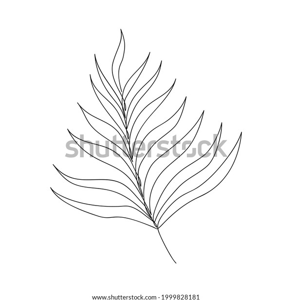 Continuous Line Drawn Palm Branch Isolated Stock Vector (Royalty Free ...