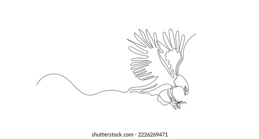 continuous line of eagles. one line drawing of eagle flying ready to hunt prey