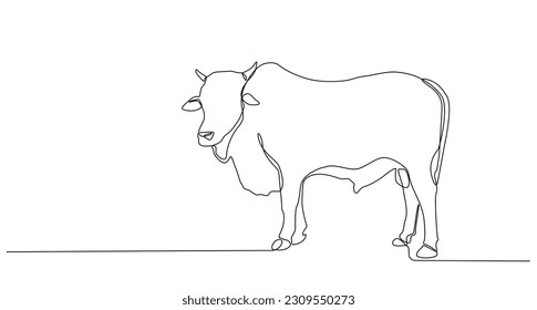Continuous line of Eid Al Adha banner design. cow background for Muslim Community Festival. Single line Muslim Hari Raya fit for qurbani day, Eid Al Adha in doodle one line style