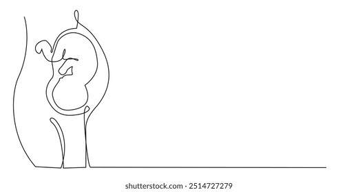 continuous line of fetus in womb.one line drawing of baby fetus in mother's stomach in gestational age.single line vector illustration.minimalist line.eps 10.isolated white background