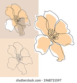 Continuous line flower design illustration vector dainty pastel colors