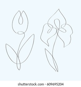 Continuous line flowers. Tulip and Iris. One line drawing concept for logo. Vector illustration.