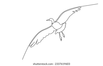 Continuous line Flying bird drawing .white background for decorative element.Doodle vector illustration Line art, outline.
