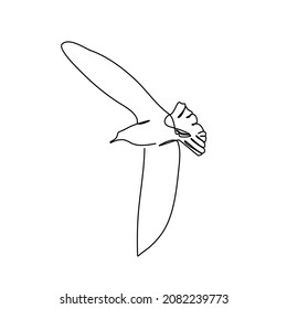 continuous line flying seagull simple style