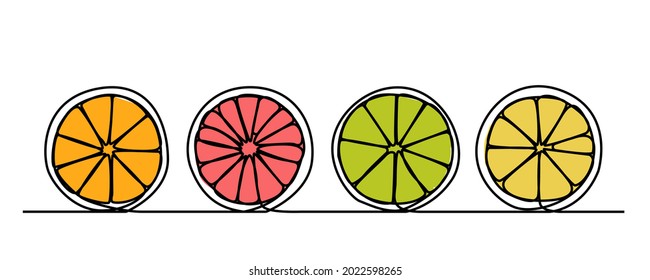continuous line Fresh fruit orange slices, halved (orange, pink grapefruit, lemon, lime)
