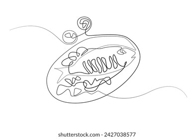 continuous line of fried fish.draw one line of fried fish on a plate.fried fish ready to be served.isolated white background