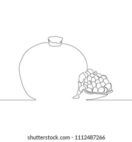 Continuous line Garnet or Pomegranate, vector illustration.