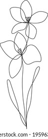 Continuous line gladiolus floral drawing, ( Iridaceae family) August birthflower, vector