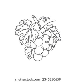 Continuous line grape bunch drawing. A hand-drawn single line grape vector illustration. Grape abstract outline drawing. Part of set.