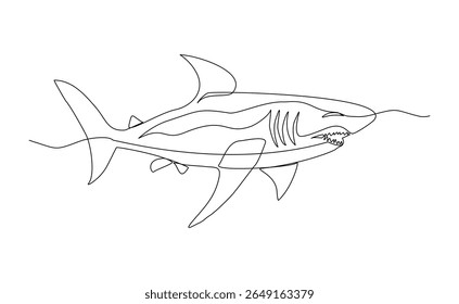Continuous line of great white shark fish underwater sea ocean marine wildlife animal sketch drawing editable stroke vector illustration