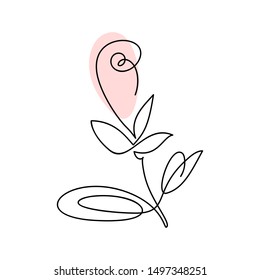 Continuous line hand drawing calligraphic vector flower rose concept logo beauty. Monoline spring floral design element in minimal style. Valentine love concept