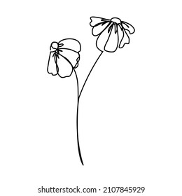 continuous line hand drawn beautiful black and white line flowers Design greeting cards and holiday invitations. raster line illustration
