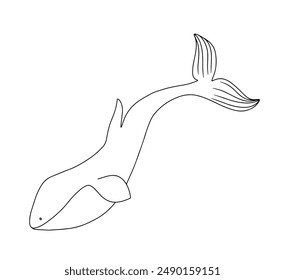 Continuous line hand drawn of whale. Doodle vector illustration