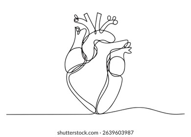 Continuous line heart drawing simple hand drawn art
