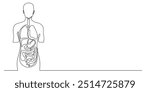 continuous line of human internal organs.one line drawing of medical anatomy,human body with lungs,liver,stomach,heart,intestine.single line vector illustration.minimalist line.eps 10