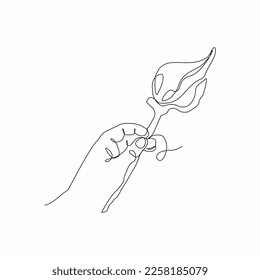 continuous line illustration art of holding a flower