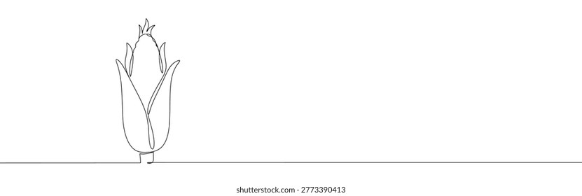 Continuous Line Illustration of a Corn Cob Left Aligned on Horizontal Background