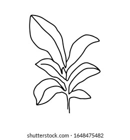 Continuous line illustration with leaf, plant with leaves. Vector minimalist line art