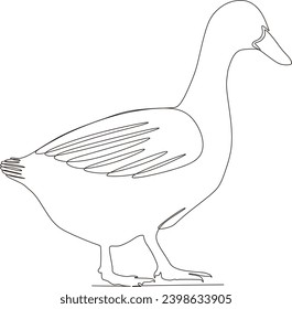 continuous line illustration of a swan standing