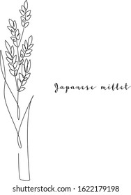 Continuous line japanese millet, grain crop. Vector line art. Perfect for logo, packaging design, icon