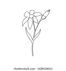 Continuous line of lily flower. Lily one line drawing. Hand-drawn minimalist illustration. Vector.