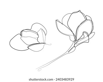 Continuous Line Magnolia Flower Vector Icon, Monoline Flowering Magnolia Stellata, One Line Star Magnolia Silhouette, Shapes Illustration