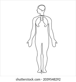 línea continua de hombre con cerebro y pulmones