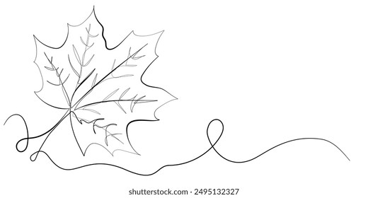 continuous line maple leaf.one line drawing of maple leaf icon.single line vector illustration.isolated white background