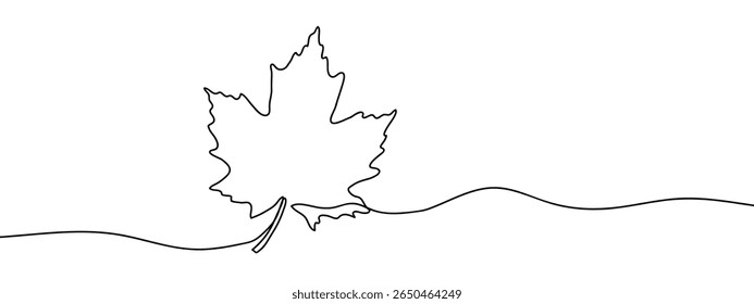 Continuous line, maple leaf, leaves, spring, fate Minimal hand drawn line vector cut out background.