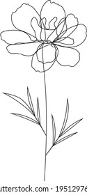 Continuous line marigold floral drawing, October birth flower, (Tagetes) Daisy family