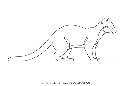 Continuous line mongoose illustration standing alert in artistic space with elegant stroke