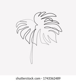 Continuous line Monstera leaves Natural one line drawing art. Style. Abstract minimal simple vector illustration