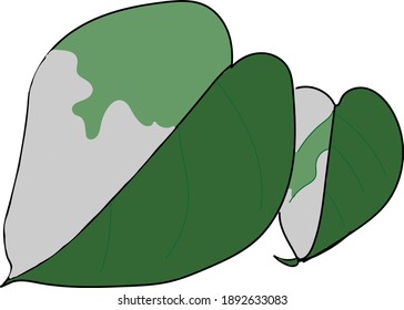 Línea continua Monstera deja el arte natural de dibujo de una línea. Estilo. Resumen de la ilustración de vector simple mínima.