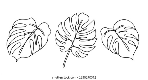 Continuous line monstera leaves set. Tropical leaves contour drawing. One line outline illustration isolated on white. Modern Minimalist art. Single, simple hand drawn decorative sketch.