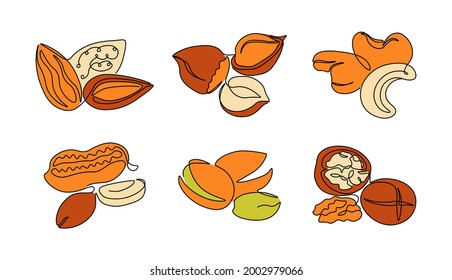 Continuous line nuts. One line trendy nut set of walnuts pistachios hazelnut peanut cashew. Vector monoline isolated collection