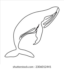 continuous line one line aquatic animals whale sea swimming cute animals hand drawn illustration vector
