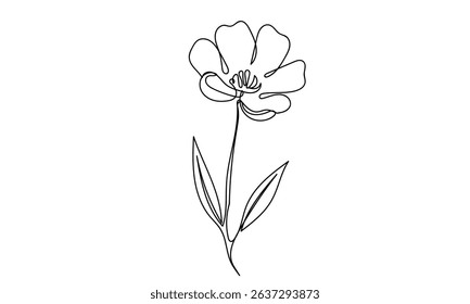 Continuous line, one flower Line Art Vector Transparent Background.