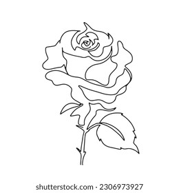 continuous line one line rose flower nature valentine hand drawn illustration vector